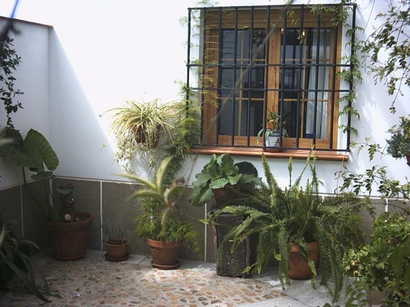 Casa Rural La Brena Talavan Luaran gambar