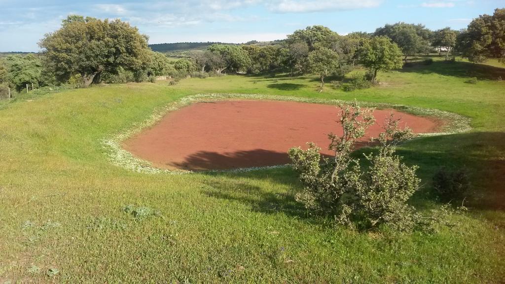 Casa Rural La Brena Talavan Luaran gambar